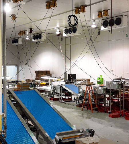 Industrial food processing facility with blue conveyor belts, stainless steel equipment, and organized storage areas.