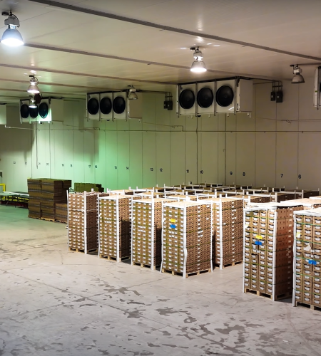 Large warehouse interior with stacked pallets of goods and industrial cooling units overhead.